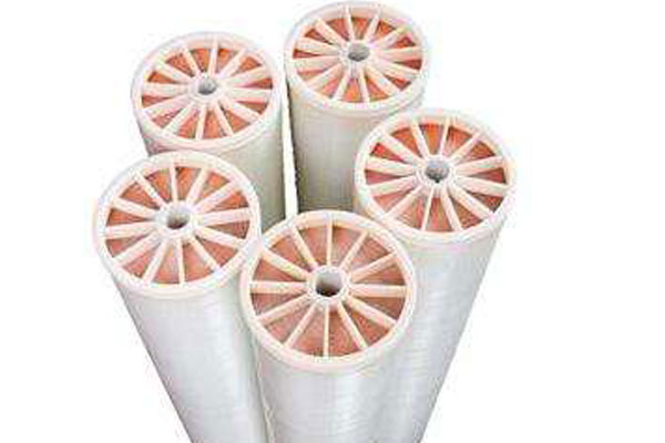 導致東麗膜污染的因素有哪些？